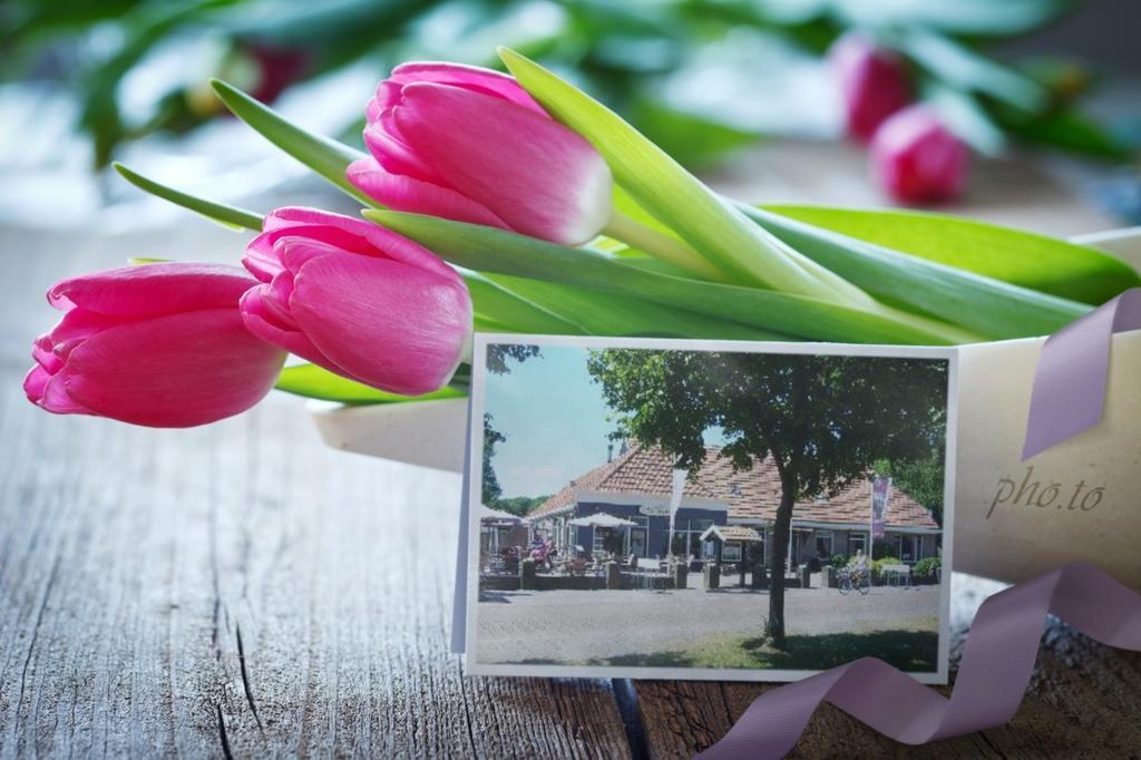 B&B Logement Grenzeloos Doldersum Kültér fotó